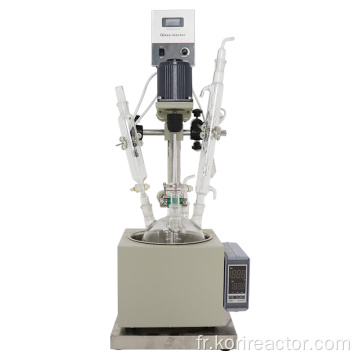 Réacteur en verre biologique monocouche de laboratoire DF-5L